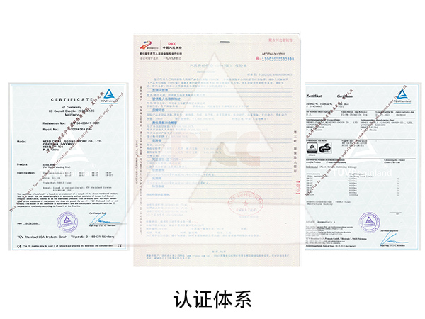 辰力集團 辰力集團