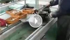 辰力手拉葫蘆車間，手拉葫蘆流水作業(yè)中